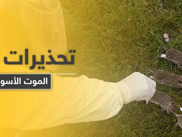 طاعون دبلي.. الصين تطلق تحذيراً من المستوى 3 حول جائحة جديدة قد تجتاج العالم