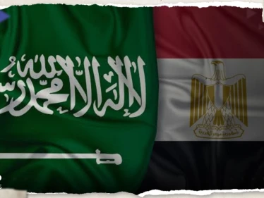 صحيفة: السعودية تحذر من منتج غذائي مصري يحتوي على حشرات