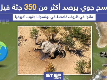 موت 350 فيل في ظروف غامضة بجنوب أفريقيا