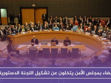 أعضاء بمجلس الأمن يتخلون عن تشكيل اللجنة الدستورية.. ومنظمات تطرح مبادرة بخصوص المعتقلين