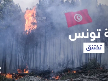 بالفيديو|| رئة تونس تختنق.. إعصار ناري يثير الفزع والسلطات تكابد منعاً لتكرار كارثة الجزائر (صور)