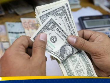 سعر الدولار مقابل الجنيه المصري في السوق السوداء والرسمي.. خبير يكشف "مفاجأة" عن الفترة المقبلة