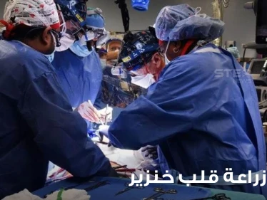 بسابقة علمية في زراعة الأعضاء.. جراحون ينجحون بزراعة قلب خنزير لإنسان