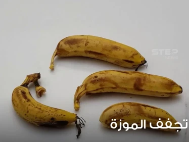 كيف تجفف الموز وتخزنه في المنزل