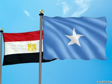 وزير الخارجية المصري يكشف موقف بلاده من قضية الصومال و3 ملفات أخرى - وكالة ستيب نيوز