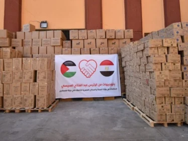 الصحة المصرية تعلن إرسال 65 طناً من الأدوية إلى قطاع غزة