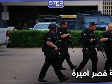 سرقة أميرة عربية في لندن... والمشتبه فيها من داخل القصر يكشفها مزاد علني