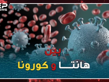 هل أنت خائف من كورونا!؟..استعد لتتعرف على فيروس هانتا القاتل المتجدد!