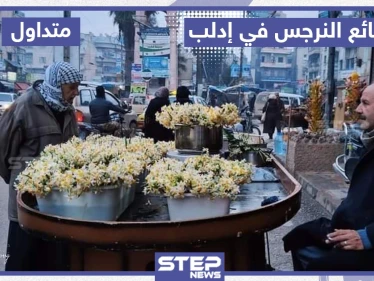 بائع النرجس في إدلب