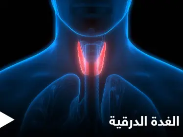 خطورة خمول الغدة الدرقية وأعراضها في المراحل العمرية المختلفة - وكالة ستيب نيوز