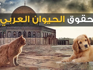 كلاب وحيوانات بملايين الدولارات، وحملات عربية لوقف قتلها.. من أولى البشر أم الحيوان!
