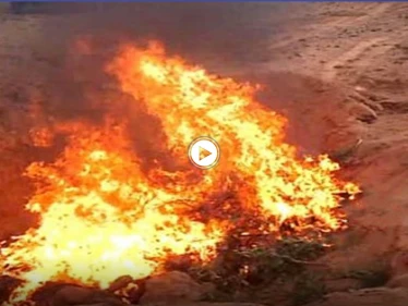 بالفيديو || مخابرات النظام السوري تحرق جثث المعتقلين بطقوس غريبة ووحشية
