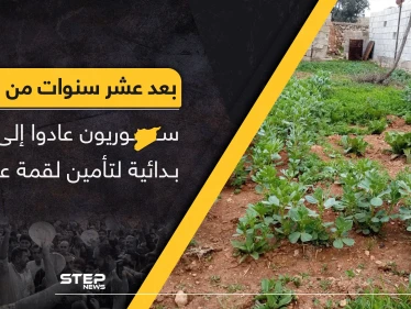 بعد عشر سنوات من الحرب.. سوريون عادوا إلى طرق بدائية لتأمين لقمة عيشهم