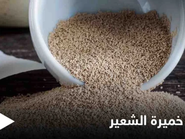 تعرف على أضرار خميرة الشعير لمرضى السرطان والسكري وفئات أخرى وطريقة استهلاكها بشكل آمن