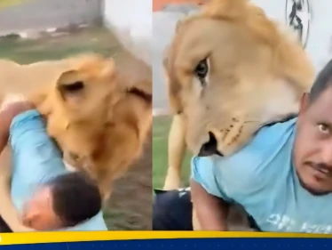 في مشهد صادم.. ليبي يطلق أسده على عامل مصري (فيديو)