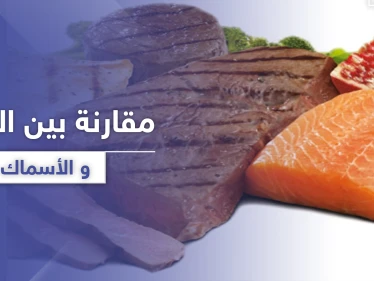 هل تعلم الفرق بين فوائد اللحوم والأسماك.. وحاجة الجسم لكل منهما