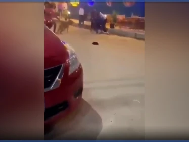 بالفيديو|| شباب يرهبون فتيات بالكلاب وسط شوارع بنها المصرية ويضحكون بعد حالة إغماء بينهن