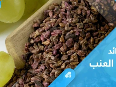 لشفاء الجروح وخسارة الوزن الزائد.. تعرف على فوائد بذور العنب