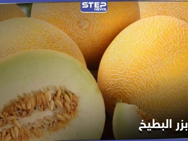 فوائد بزر البطيخ غير المعروفة والمعادن التي يتميز بها