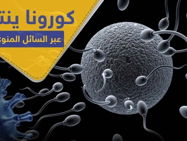 دراسات حديثة تشير إلى إمكانية انتقال كورونا عبر العلاقة الزوجية