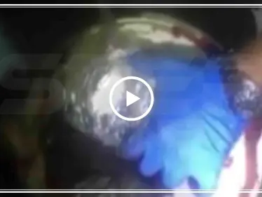شاهد بالفيديو|| القبض على سوريين يُهرّبون الحشيش بـ"مسحوق البندورة" - وكالة ستيب نيوز