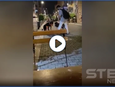 بالفيديو|| بمشهد غير مألوف.. ظهور كلاب بشرية وسط الشوارع الإسرائيلية وشخص يجرهم