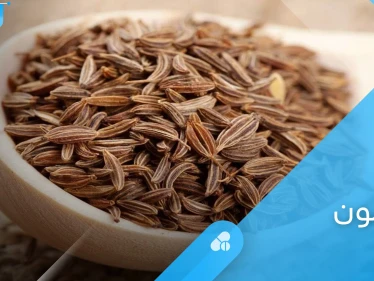 فوائد الكمون لأمراض الرحم وما بعد الولادة وتنظيف الكبد إليك أهم المعلومات