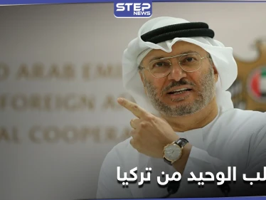 أنور قرقاش يوضّح المطلب العربي الوحيد من تركيا ويتحدث عن مؤشرات إيجابية بعد مصالحة قطر