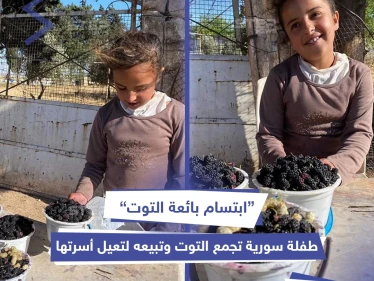 ابتسام ... بائعة التوت الجميلة
