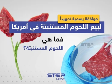 موافقة رسمية تمهيداً لبيع اللحوم المستنبتة في أمريكا ... فما هي اللحوم المستنبتة؟