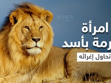 بالفيديو|| امرأة مغرمة بأسد تخترق حاجز الحديقة وتتمايل أمامه بفستان أحمر وباقة من الورد وتغريه بأموالها
