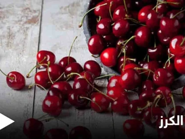 أحدها تعزيز صحة القلب.. تعرف على فوائد الكرز العديدة