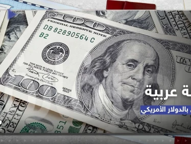 وكالة تكشف عن تفاصيل خطة مصرية عربية لتخفيف الاعتماد على الدولار في التعاملات التجارية
