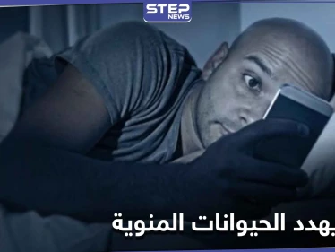 الحيوانات المنوية في خطر.. دراسة تكشف أثر استخدام الهواتف ليلاً