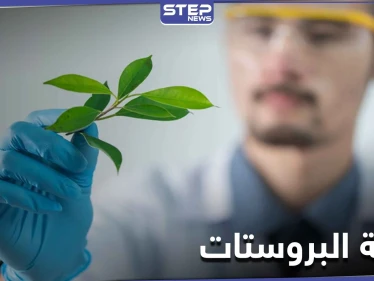 للحفاظ على صحة البروستات وتعزيز الرغبة الجنسية والخصوبة.. إليك هذا المستخلص النباتي