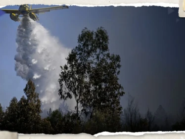 رفع حالة التأهب في البرتغال وإسبانيا بسبب حرائق الغابات (فيديو) - وكالة ستيب نيوز