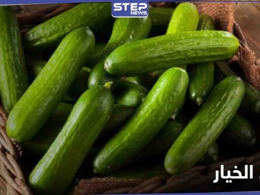 فوائد الخيار لجسم الإنسان.. وماذا يسبب تناوله لمرضى السكري