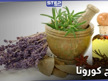 هل هو الشيح.. منظمة الصحة العالمية تقرّ علاج كورونا بالأعشاب الأفريقية