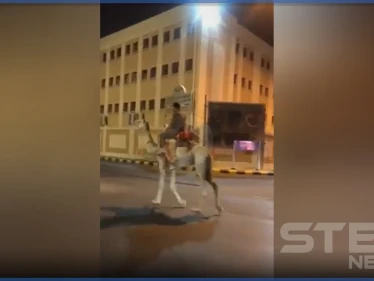 بالفيديو|| مرتدياً بدلة عسكري.. سعودي يقود جملاً في شوارع مكة المكرمة والسبب!