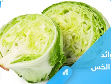 الخس.. غذاء مثالي لخسارة الوزن وصحة القلب