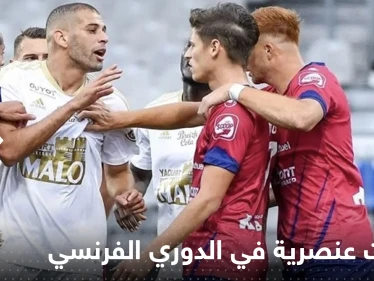 بالفيديو|| إساءات عنصرية في الدوري الفرنسي للجزائري إسلام سليماني.. "العربي القذر"