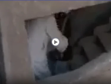 القبض على جزار النهضة الذي ضرب وسحل سيدة.. والأخيرة تكشف تفاصيل الحادثة (فيديو)