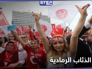 عدد منتسبيها بالآلاف.. مطالبات ألمانية لحظر حركة الذئاب الرمادية التركية