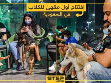 افتتاح أول مقهى للكلاب في السعودية