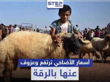 عيد الأضحى بلا أضاحي في الرقة هذا العام وتجّار الماشية يوضحون الأسباب