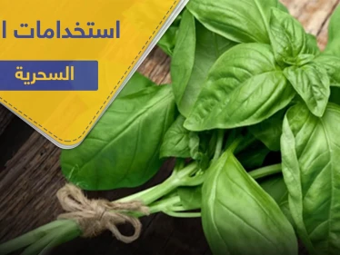 5 استخدامات سحرية لـ الريحان لتحافظ على صحتك