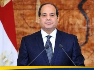 إلغاء نتائج انتخابات مجلس النواب في مصر ضمن عدة دوائر.. والكشف عن الأسباب - وكالة ستيب نيوز