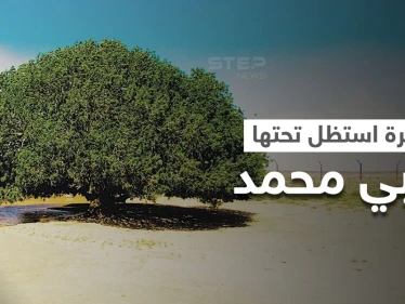 الشجرة التي استراح تحتها النبي محمد خلال رحلته إلى سوريا تُزرع بمدينة روسية