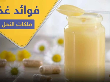 غذاء ملكات النحل لعمر مديد وصحة وشباب دائم