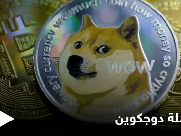 نشأت بهدف السخرية وصعدت لتحتل مرتبة عالمية.. تعرف إلى عملة دوجكوين وسبب صعودها المفاجئ